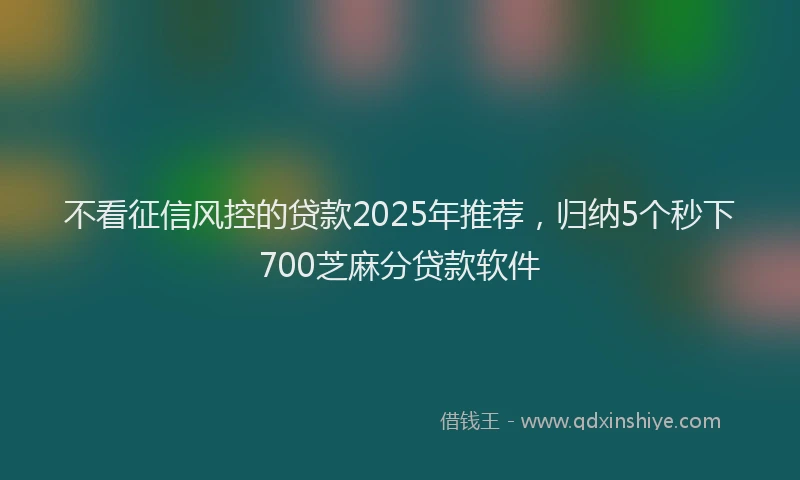 不看征信风控的贷款2025年推荐，归纳5个秒下700芝麻分贷款软件