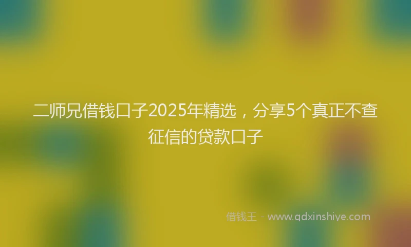 二师兄借钱口子2025年精选，分享5个真正不查征信的贷款口子