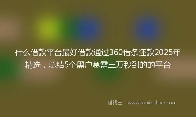 什么借款平台最好借款通过360借条还款2025年精选，总结5个黑户急需三万秒到的的平台