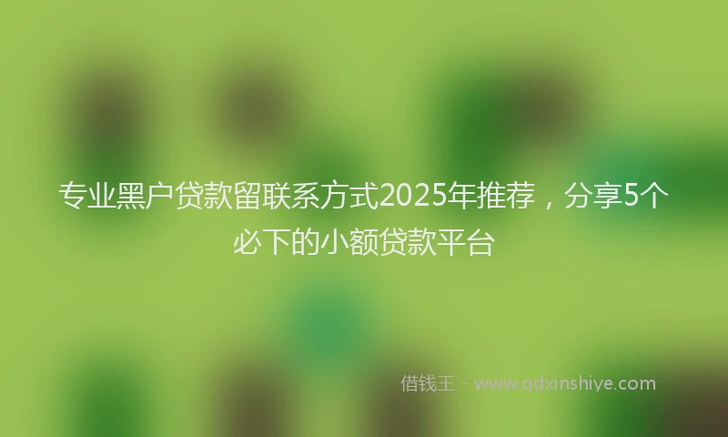专业黑户贷款留联系方式2025年推荐，分享5个必下的小额贷款平台