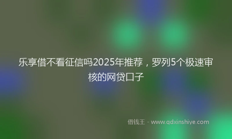 乐享借不看征信吗2025年推荐，罗列5个极速审核的网贷口子