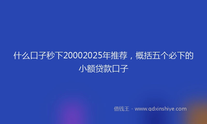什么口子秒下20002025年推荐，概括五个必下的小额贷款口子