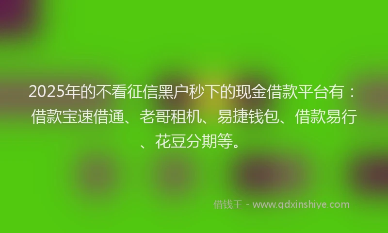 2025年的不看征信黑户秒下的现金借款平台有：借款宝速借通、老哥租机、易捷钱包、借款易行、花豆分期等。