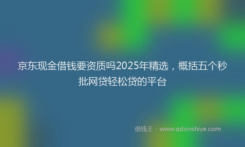 京东现金借钱要资质吗2025年精选，概括五个秒批网贷轻松贷的平台