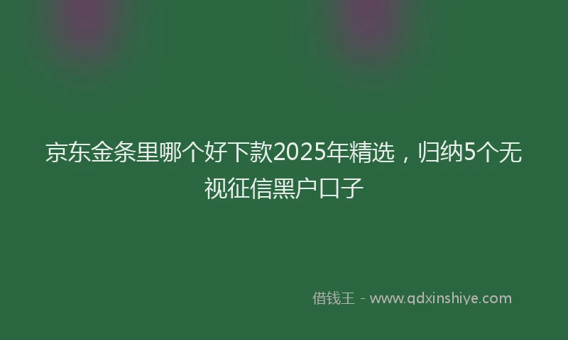 京东金条里哪个好下款2025年精选，归纳5个无视征信黑户口子