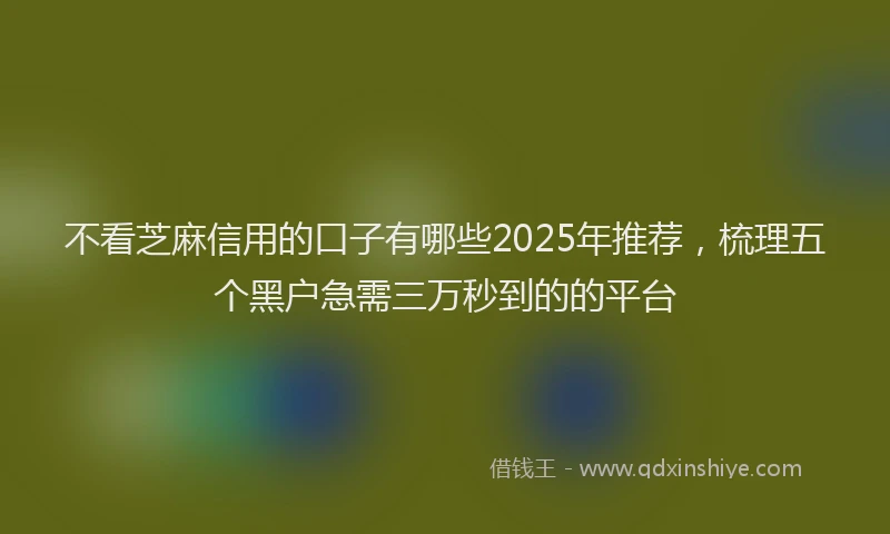 不看芝麻信用的口子有哪些2025年推荐，梳理五个黑户急需三万秒到的的平台