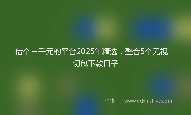借个三千元的平台2025年精选，整合5个无视一切包下款口子