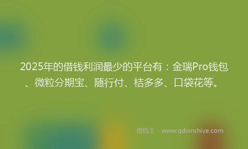2025年的借钱利润最少的平台有：金瑞Pro钱包、微粒分期宝、随行付、桔多多、口袋花等。