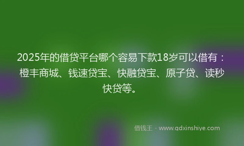 2025年的借贷平台哪个容易下款18岁可以借有：橙丰商城、钱速贷宝、快融贷宝、原子贷、读秒快贷等。