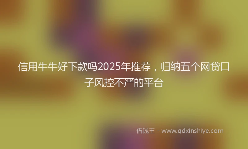 信用牛牛好下款吗2025年推荐，归纳五个网贷口子风控不严的平台