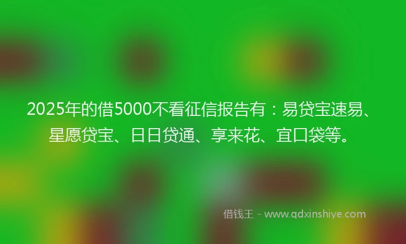 2025年的借5000不看征信报告有：易贷宝速易、星愿贷宝、日日贷通、享来花、宜口袋等。
