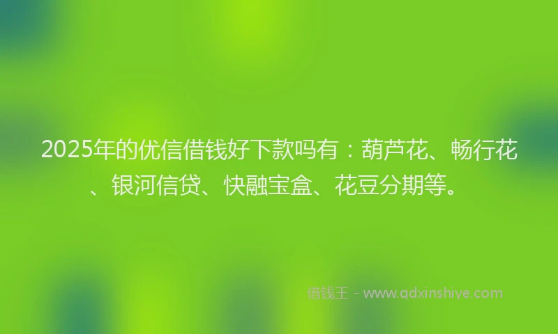 2025年的优信借钱好下款吗有：葫芦花、畅行花、银河信贷、快融宝盒、花豆分期等。