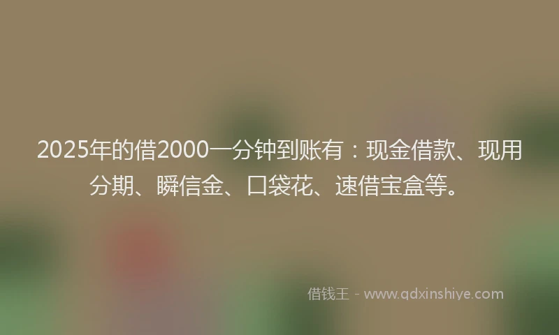 2025年的借2000一分钟到账有：现金借款、现用分期、瞬信金、口袋花、速借宝盒等。