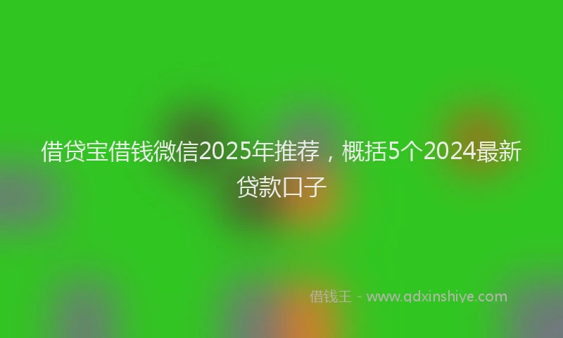 借贷宝借钱微信2025年推荐，概括5个2024最新贷款口子