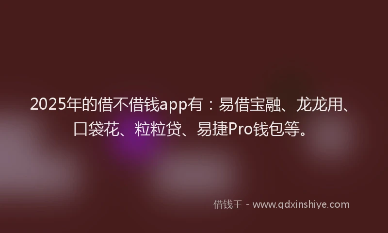 2025年的借不借钱app有：易借宝融、龙龙用、口袋花、粒粒贷、易捷Pro钱包等。
