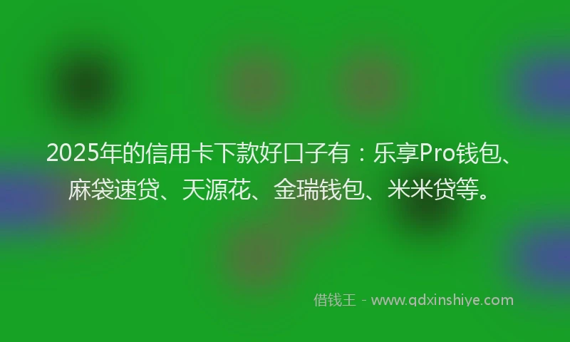 2025年的信用卡下款好口子有：乐享Pro钱包、麻袋速贷、天源花、金瑞钱包、米米贷等。
