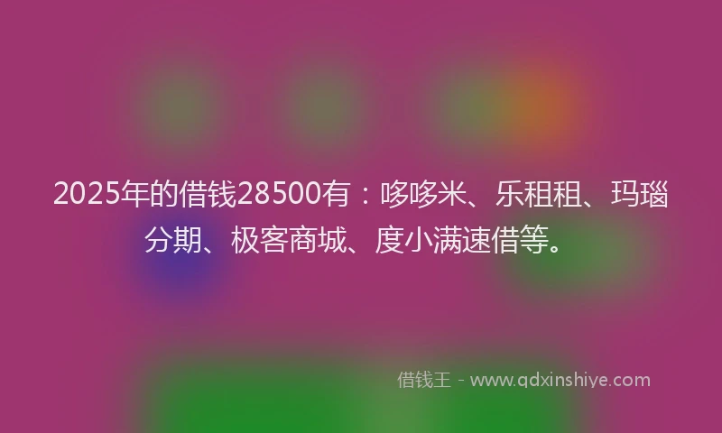 2025年的借钱28500有：哆哆米、乐租租、玛瑙分期、极客商城、度小满速借等。