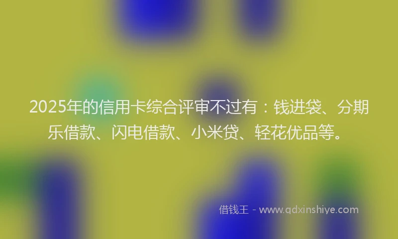 2025年的信用卡综合评审不过有：钱进袋、分期乐借款、闪电借款、小米贷、轻花优品等。