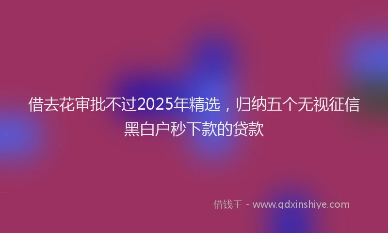 借去花审批不过2025年精选，归纳五个无视征信黑白户秒下款的贷款