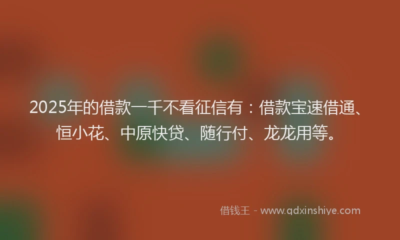 2025年的借款一千不看征信有：借款宝速借通、恒小花、中原快贷、随行付、龙龙用等。