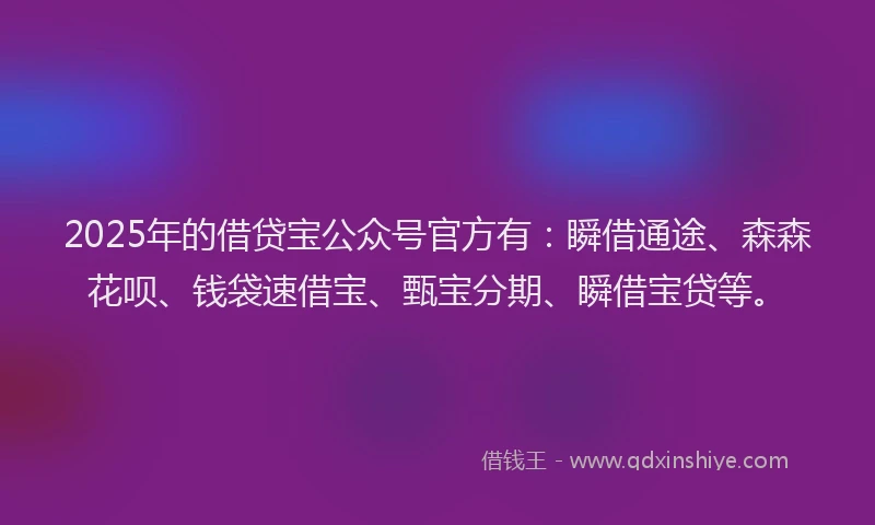 2025年的借贷宝公众号官方有：瞬借通途、森森花呗、钱袋速借宝、甄宝分期、瞬借宝贷等。