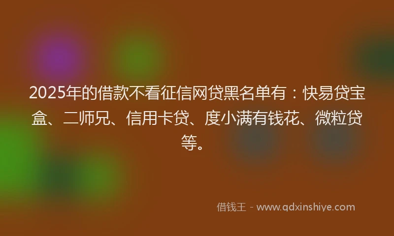 2025年的借款不看征信网贷黑名单有：快易贷宝盒、二师兄、信用卡贷、度小满有钱花、微粒贷等。