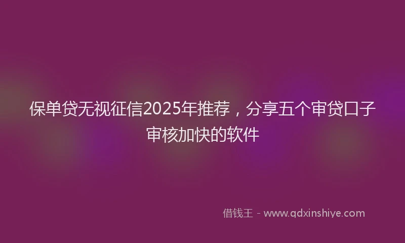 保单贷无视征信2025年推荐，分享五个审贷口子审核加快的软件
