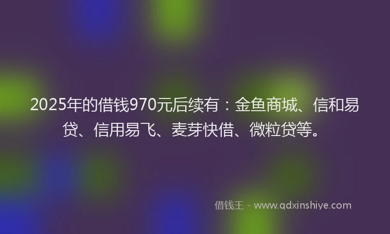 2025年的借钱970元后续有：金鱼商城、信和易贷、信用易飞、麦芽快借、微粒贷等。