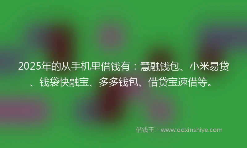 2025年的从手机里借钱有：慧融钱包、小米易贷、钱袋快融宝、多多钱包、借贷宝速借等。