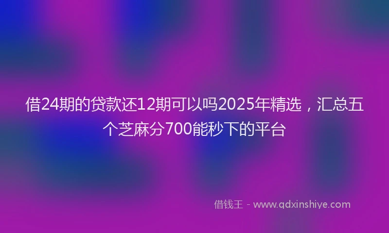 借24期的贷款还12期可以吗2025年精选，汇总五个芝麻分700能秒下的平台