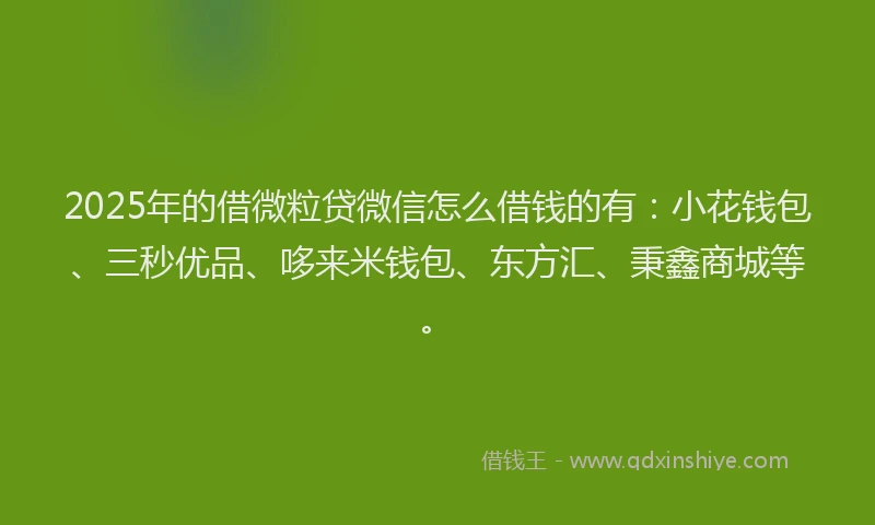 2025年的借微粒贷微信怎么借钱的有：小花钱包、三秒优品、哆来米钱包、东方汇、秉鑫商城等。