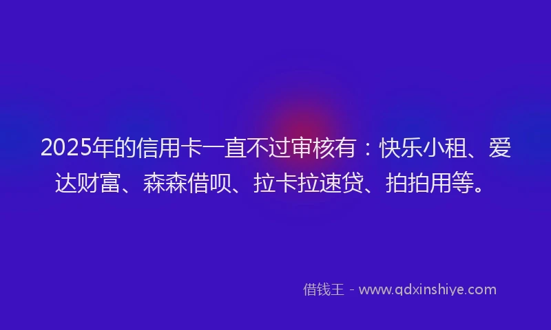 2025年的信用卡一直不过审核有：快乐小租、爱达财富、森森借呗、拉卡拉速贷、拍拍用等。
