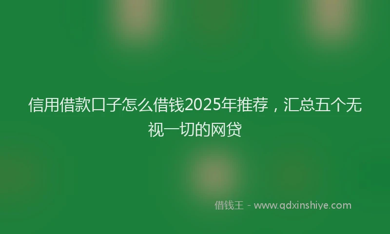 信用借款口子怎么借钱2025年推荐，汇总五个无视一切的网贷