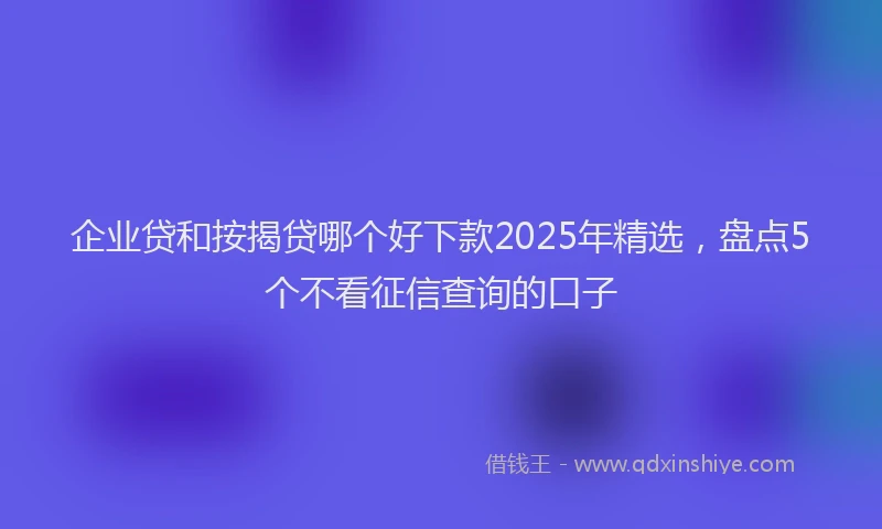 企业贷和按揭贷哪个好下款2025年精选，盘点5个不看征信查询的口子
