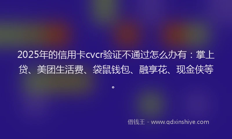 2025年的信用卡cvcr验证不通过怎么办有：掌上贷、美团生活费、袋鼠钱包、融享花、现金侠等。