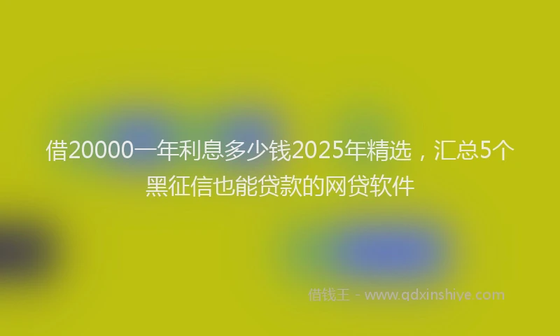 借20000一年利息多少钱2025年精选，汇总5个黑征信也能贷款的网贷软件