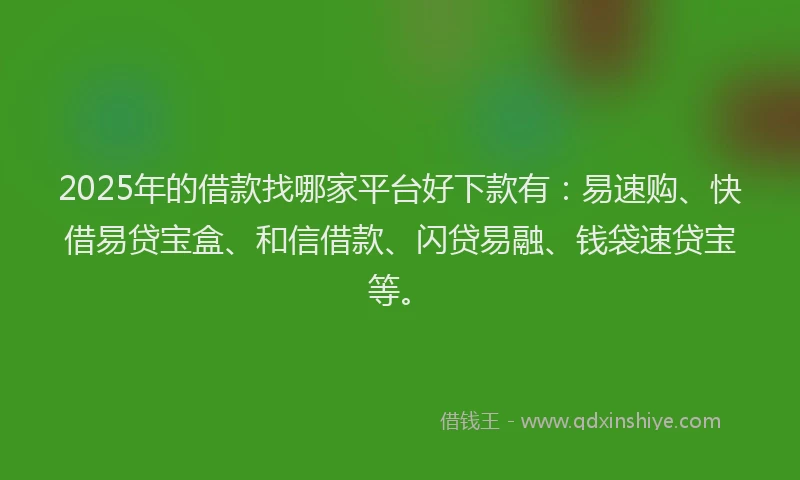 2025年的借款找哪家平台好下款有：易速购、快借易贷宝盒、和信借款、闪贷易融、钱袋速贷宝等。