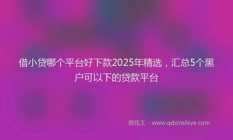 借小贷哪个平台好下款2025年精选，汇总5个黑户可以下的贷款平台