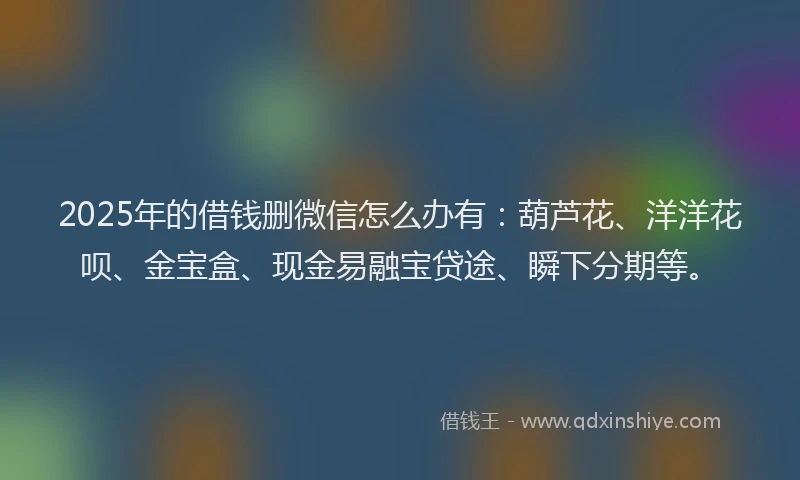 2025年的借钱删微信怎么办有：葫芦花、洋洋花呗、金宝盒、现金易融宝贷途、瞬下分期等。