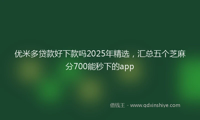 优米多贷款好下款吗2025年精选，汇总五个芝麻分700能秒下的app