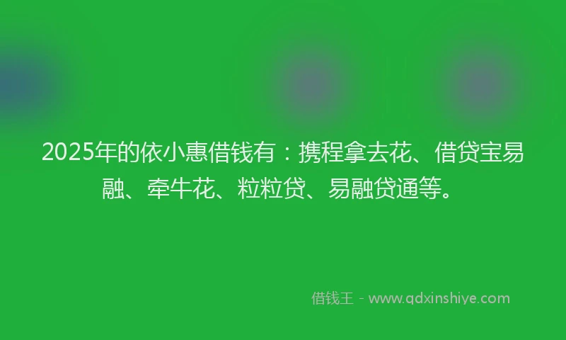 2025年的依小惠借钱有：携程拿去花、借贷宝易融、牵牛花、粒粒贷、易融贷通等。