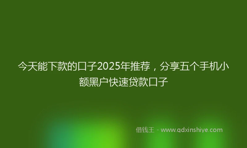 今天能下款的口子2025年推荐，分享五个手机小额黑户快速贷款口子