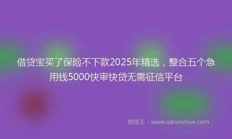 借贷宝买了保险不下款2025年精选，整合五个急用钱5000快审快贷无需征信平台