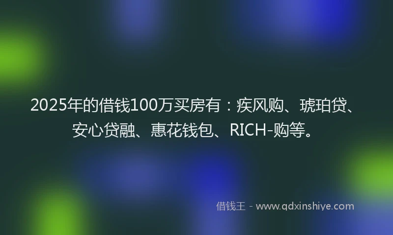 2025年的借钱100万买房有：疾风购、琥珀贷、安心贷融、惠花钱包、RICH-购等。