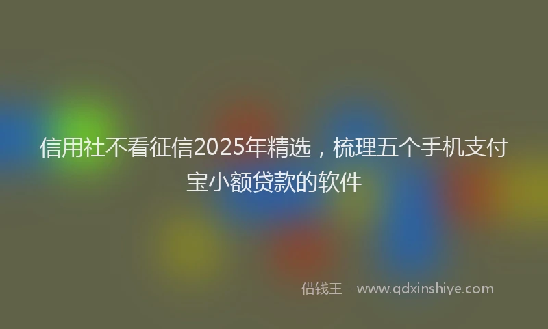 信用社不看征信2025年精选，梳理五个手机支付宝小额贷款的软件