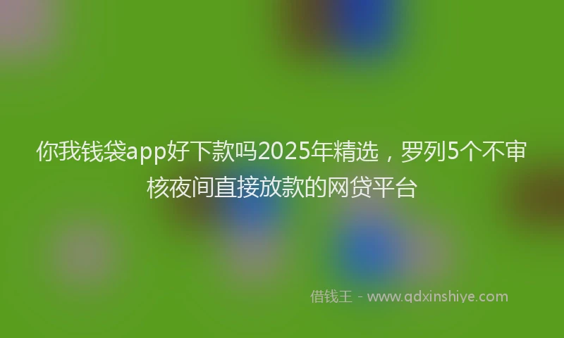 你我钱袋app好下款吗2025年精选，罗列5个不审核夜间直接放款的网贷平台