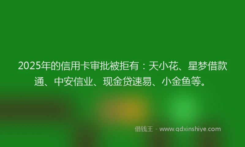 2025年的信用卡审批被拒有：天小花、星梦借款通、中安信业、现金贷速易、小金鱼等。