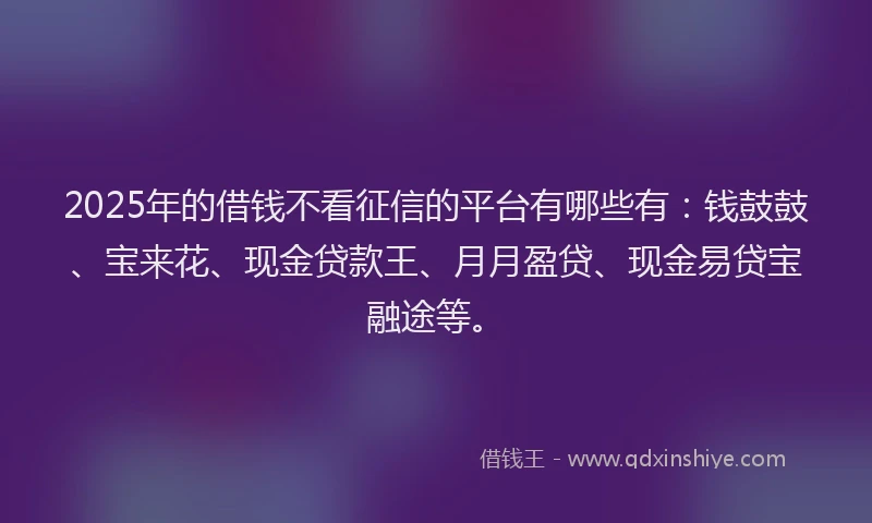 2025年的借钱不看征信的平台有哪些有：钱鼓鼓、宝来花、现金贷款王、月月盈贷、现金易贷宝融途等。