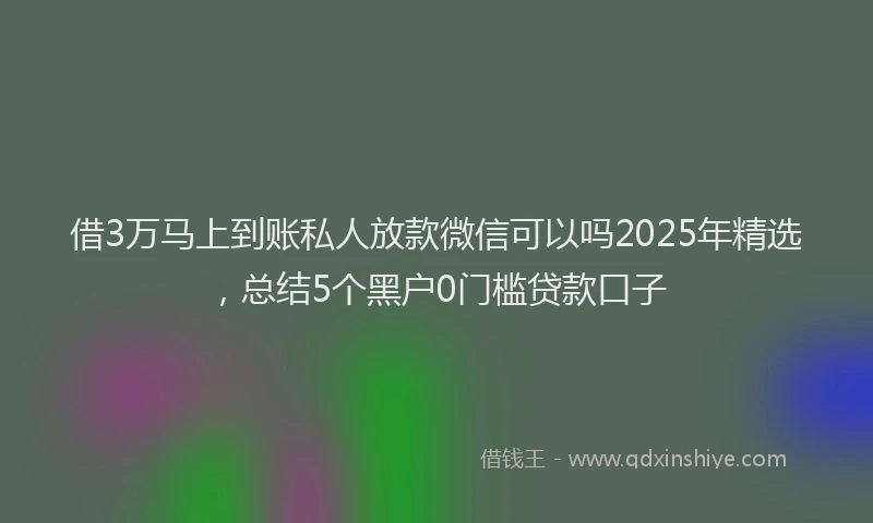 借3万马上到账私人放款微信可以吗2025年精选，总结5个黑户0门槛贷款口子