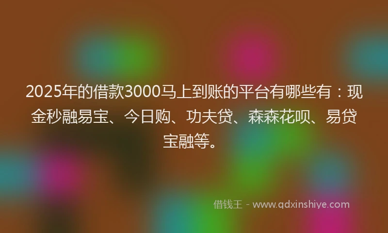 2025年的借款3000马上到账的平台有哪些有：现金秒融易宝、今日购、功夫贷、森森花呗、易贷宝融等。